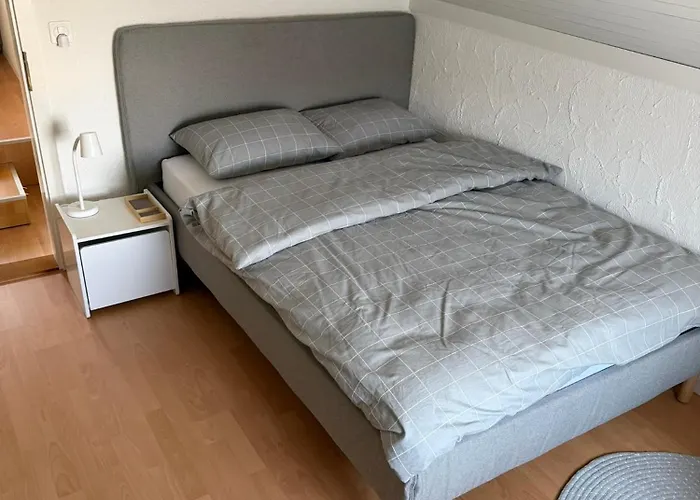 Appartement Gaestehaus Eichberg, Rheintal